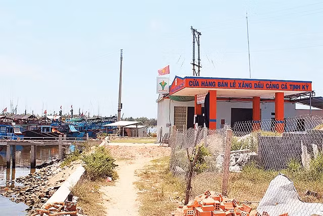 Diện tích đất chưa được đền bù của gia đình liệt sĩ Lê Văn Phụng, ở xã Tịnh Kỳ, TP Quảng Ngãi bị san lấp và cấp cho HTX Nghề cá để xây dựng cây xăng.