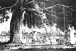 Miếu thờ Phật trên cây da.