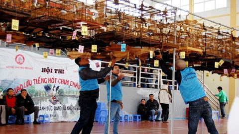 Hội thi giọng hót chim chào mào “Câu lạc bộ Đức Giang và những người bạn”.