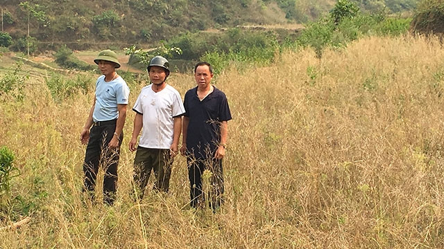 Cây cỏ cũng không sống nổi trên cánh đồng bậc thang Na Nghịu.