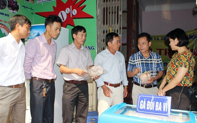 Một điểm bán và giới thiệu sản phẩm của chuỗi gà đồi Ba Vì tại Hà Nội.