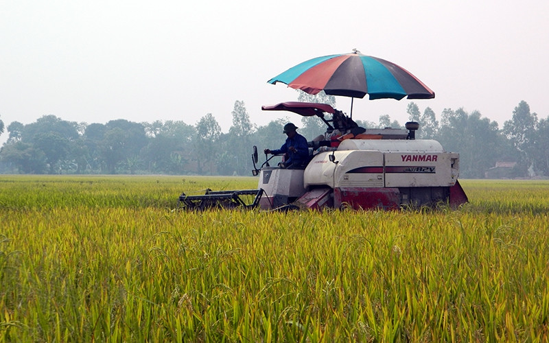 Huyện Kim Ðộng (Hưng Yên) hoàn thành việc dồn điền, đổi ruộng hình thành cánh đồng lớn, tạo điều kiện cơ giới hóa sản xuất nông nghiệp.