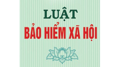 Ảnh minh họa: Internet.