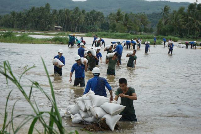 Đoàn viên thanh niên tỉnh Bình Định tham gia vận chuyển bao cát gia cố các đoạn đê bị sạt lở.