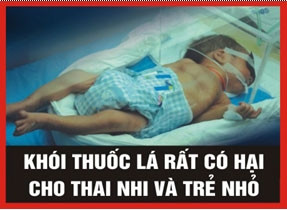 Năm hình ảnh cảnh báo phải in trên vỏ bao thuốc lá