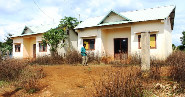 Dãy nhà tái định cư được xây dựng kiên cố bị bỏ hoang, rêu mốc, cỏ mọc um tùm.