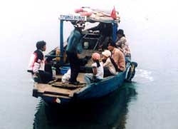 Những chuyện chưa biết về mẹ Suốt