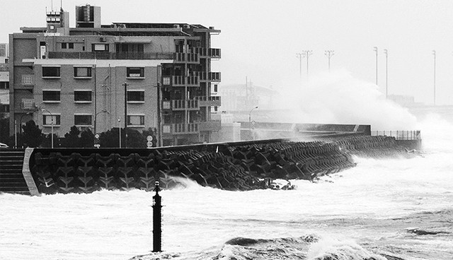 Những "cơn bão" kinh hoàng