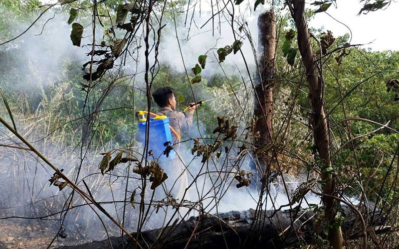 Vụ cháy làm thiệt hại hơn ba ha rừng keo tràm của người dân và rừng lau lách trên địa bàn.