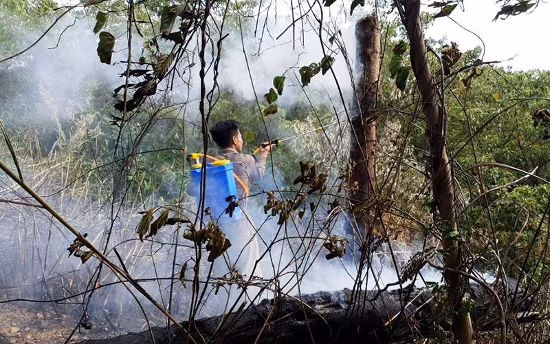 Vụ cháy làm thiệt hại hơn ba ha rừng keo tràm của người dân và rừng lau lách trên địa bàn.