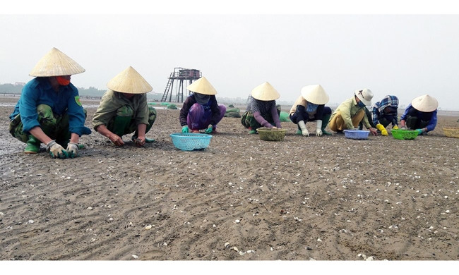 “Sóng” ở bãi ngang