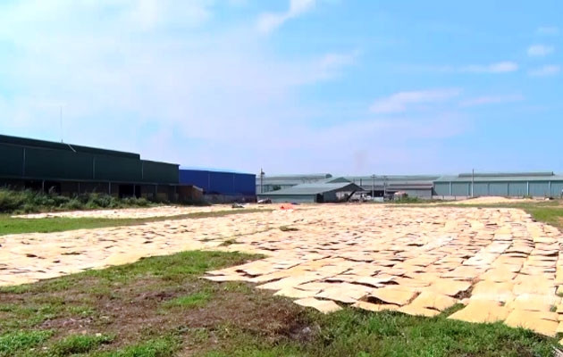 Tại khu vực quy hoạch Cụm công nghiệp Phước Tân đã có 48 nhà xưởng xây dựng quy mô lớn trái phép.