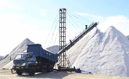 Công ty cổ phần muối Ninh Thuận thu hoạch muối.