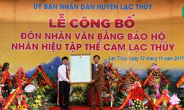 Cam Lạc Thủy nhận bằng bảo hộ nhãn hiệu 