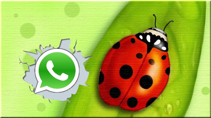 Lỗi WhatsApp khiến 200 triệu người bị ảnh hưởng.