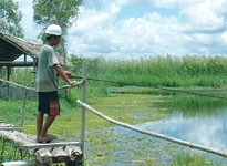 Dịch vụ du lịch câu cá trong
Vườn quốc gia U Minh Thượng.