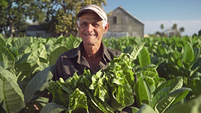 Ảnh minh hoạ: Getty Image