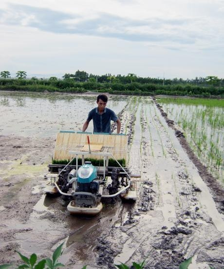 Nông dân xã Ðại Thắng (Phú Xuyên) sử dụng máy cấy trong sản xuất nông nghiệp.