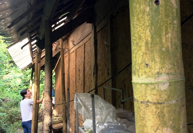 Nhà xuống cấp, mẹ con bà Rơi phải dùng cọc tre chằng chống, gia cố từ trong ra ngoài để ở tạm, chờ ngày được đền bù giải tỏa.