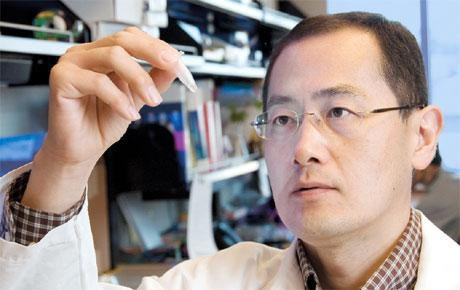 GS S.Yamanaka (Nhật Bản).