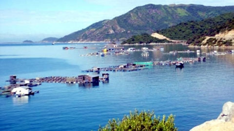 Một góc Vũng Rô, huyện Ðông Hòa (Phú Yên).