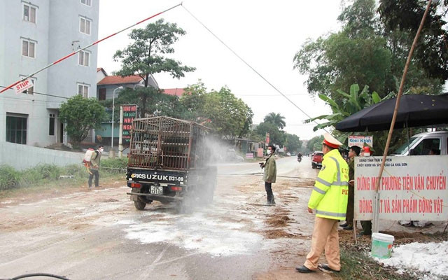 Tỉnh Thái Nguyên duy trì 46 chốt kiểm dịch động vật nhằm ngăn chặn dịch tả lợn châu Phi lây lan.
