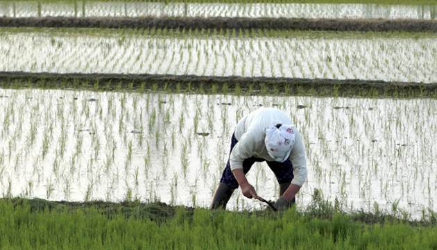 Mỹ đã thử nghiệm vũ khí sinh học tại Okinawa, Nhật Bản