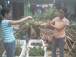 Kim Thủy (nhóm trưởng, bìa trái)
và Khánh Vân (thành viên của nhóm)
kiểm tra độ hấp thụ chất phú dưỡng từ
nguồn nước bị 