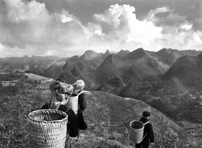 “Không gì tự nhiên, đẹp đẽ bằng chính sự sống đang diễn ra quanh ta…” .
