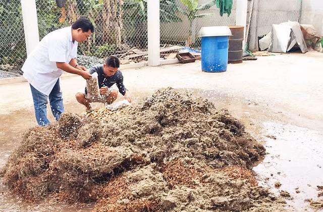 Tiêu hủy dược liệu không bảo đảm chất lượng tại một cơ sở kinh doanh ở TP Hồ Chí Minh. 