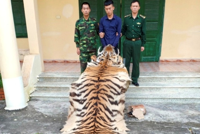 Đối tượng Hiệp cùng tang vật tại Đồn Biên phòng Hải Hòa (TP Móng Cái, tỉnh Quảng Ninh).