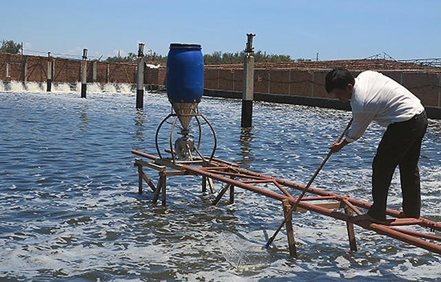 Khu nuôi tôm công nghệ cao của Công ty TNHH Nuôi trồng, chế biến thủy sản xanh ở xã Cát Hải (Phù Cát, Bình Ðịnh). Ảnh: PHẠM TIẾN SỸ