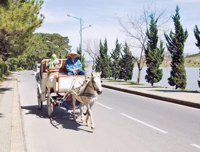 Thơ mộng Ðà Lạt. 
