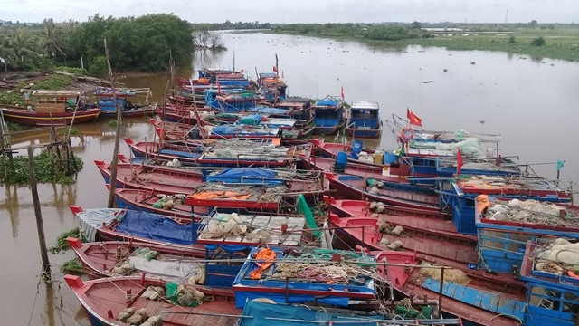 Tàu, thuyền của ngư dân thị trấn Diêm Điền, huyện Thái Thụy, tỉnh Thái Bình vào nơi trú ẩn an toàn.