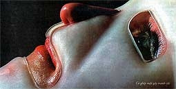 10 sự kiện khoa học năm 2005