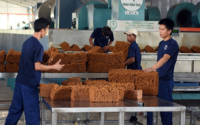 Dây chuyền chế biến mủ cao-su của Công ty cổ phần Cao-su Chư Sê-Kampong Thom.
