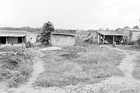 Những lán trại tạm bợ của dân di cư tự do ở huyện Kông Chro.