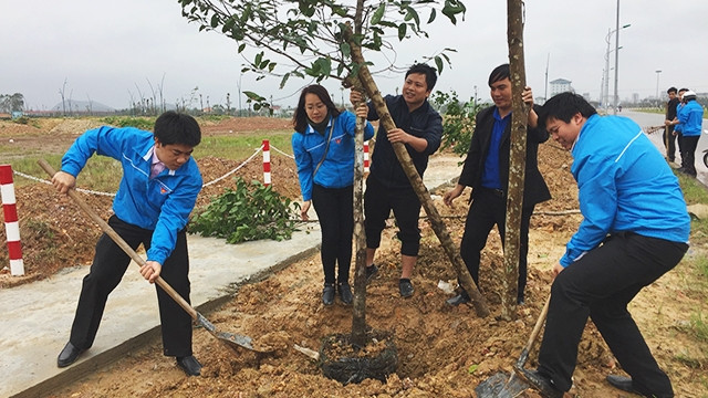 Tuổi trẻ Thừa Thiên - Huế đã ra quân hưởng ứng Tết trồng cây.
