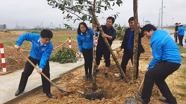 Tuổi trẻ Thừa Thiên - Huế đã ra quân hưởng ứng Tết trồng cây.