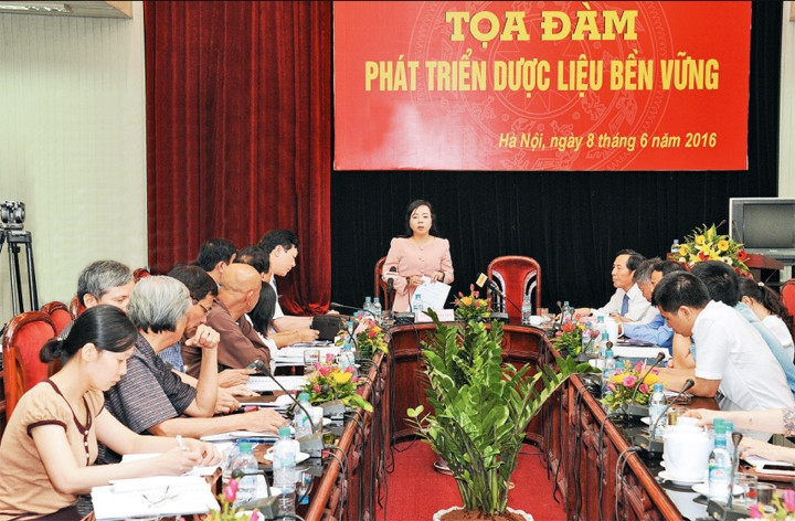 Ảnh: TRẦN HẢI
