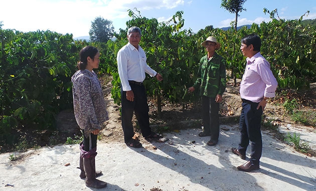 Cán bộ chính quyền địa phương đang trao đổi với ông Nguyễn Ngọc Hùng và chị Nguyễn Thị Ngát về đền bù hoa màu.