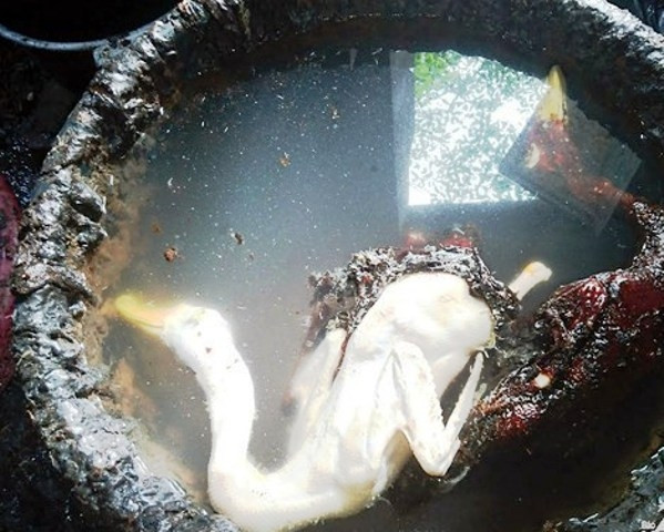 Nhổ lông vịt bằng nhựa thông và ngâm trong hàn the để tẩy trắng.