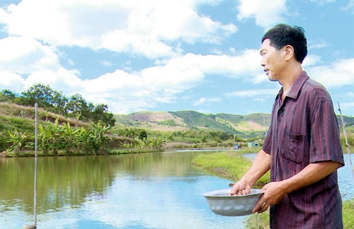 Gia đình ông Phạm Văn Đào, thôn Iệc, xã Bờ Y, huyện Ngọc Hồi (Kon Tum) làm giàu từ mô hình VACR.