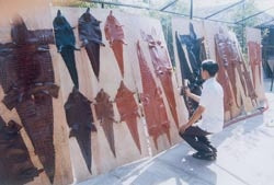 Nuôi cá sấu - thế mạnh tương lai