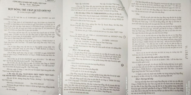 Những điều khó hiểu chung quanh việc Công ty Biofeed ở Vĩnh Long đem bản án đi thế chấp ngân hàng