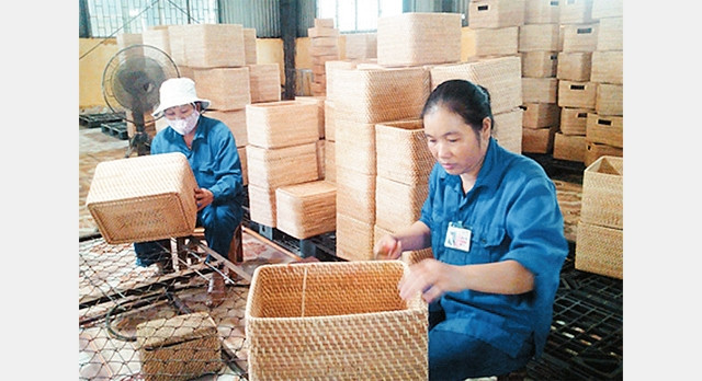 Công ty TNHH mây tre xuất khẩu Phú Minh, huyện Yên Mỹ (Hưng Yên) đã đào tạo nghề mây tre đan và tạo việc làm ổn định cho hàng nghìn lao động địa phương. Ảnh: LỆ THU