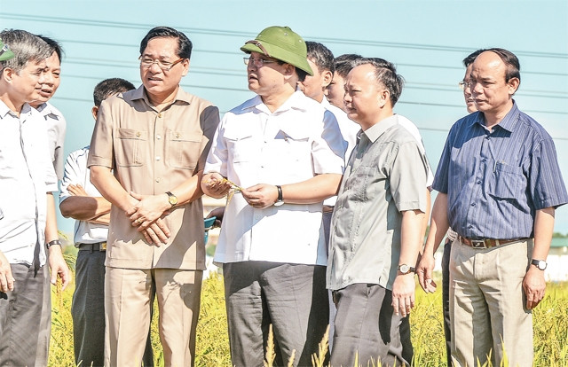 Bí thư Thành ủy Hà Nội Hoàng Trung Hải kiểm tra công tác dồn điền, đổi thửa và xây dựng nông thôn mới tại xã Đại Yên, huyện Chương Mỹ. Ảnh: DUY LINH