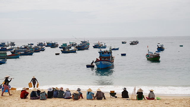 Chờ cá về trên bến làng chài Xương Lý.