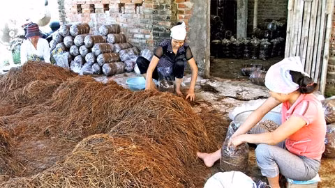 Xã viên HTX sản xuất nấm rơm.