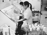 Nhân giống phong lan bằng phương pháp nuôi cấy mô.